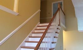 This Is a Rent a Dollhouse Single Family Home in Lexington, KY