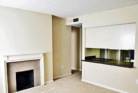 Gorgeous 1, 2, and 3 Bedrooms Available Now! in Baltimore, MD (Photo 1 of 3)