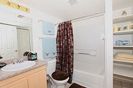 1 Bedroom on Special!! in Tucson, AZ (Photo 3 of 12)