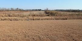  Enchanting 3 Bedroom 2 Bath Home in Jacksonville, NC (Photo 3 of 11)