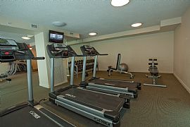 2 Bd, 2 Ba in Downtown Evanston in Evanston, IL (Photo 5 of 12)