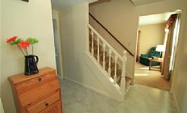 This 3 Bedroom, 1.5 Bathroom Home Has a Spacious Living Room in Farmington, NY