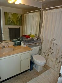 Beautiful and Spacious Condo with 3 Bd 2 Bath in Miami, FL (Photo 5 of 10)