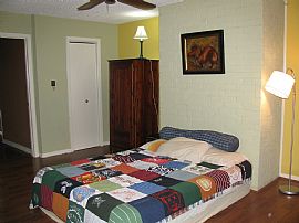 Oversized 4 Bedroom Home Close to Various Amenities  in Austin, TX (Photo 9 of 12)