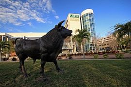 145 18th Ave S, St Petersburg, Fl 33705 in Saint Petersburg, FL