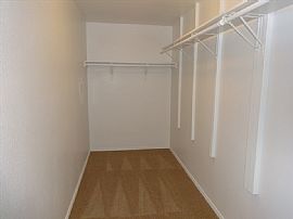 Extra Cute and Cozy 4-Bed 2-Bath Home in Fort Worth, TX (Photo 7 of 12)