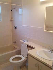 Spacious 3 Bed/2 Bath House Available For Rent in Tampa, FL (Photo 5 of 8)