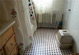 Immaculate and Spacious 3beds 1.5bath/1 Car Garage in Allentown, PA (Photo 7 of 11)