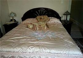 Immaculate and Spacious 3beds 1.5bath/1 Car Garage in Allentown, PA (Photo 9 of 11)