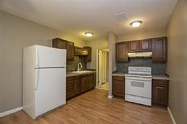 Nice 3 Bed / 2 Bath Home in Mesa! in Mesa, AZ (Photo 5 of 9)