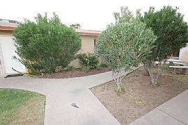 Beautiful 1 Bed 1 Bath Apt in Prime Location! in Mesa, AZ (Photo 2 of 10)