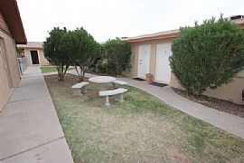 Beautiful 1 Bed 1 Bath Apt in Prime Location! in Mesa, AZ (Photo 6 of 10)