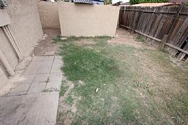 Beautiful 1 Bed 1 Bath Apt in Prime Location! in Mesa, AZ (Photo 8 of 10)