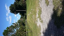 2/1 Country Setting Home Lithia Florida in Lithia, FL (Photo 5 of 10)