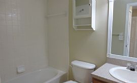 This 3-Bedroom, 2.5-Bathroom, 1-Car Garage Townhome in The Gate in Tampa, FL (Photo 6 of 6)