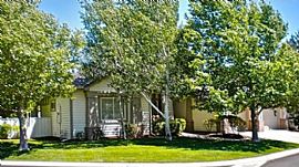 327 Genoa Springs Dr, Genoa, Nv 89411 in Genoa, NV