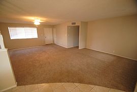 185 W Jasper Drive in Chandler, AZ (Photo 4 of 12)