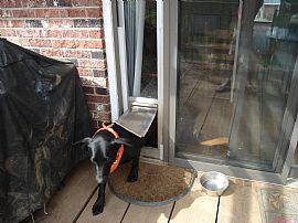 3 Bed/2 Bath, Located Within 1 Mile of Greenvil. in Greenville, SC (Photo 8 of 11)