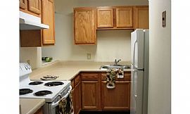 Amazing 2 Bedroom Apartment Available Now! in Baltimore, MD (Photo 3 of 6)