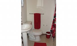 Amazing 2 Bedroom Apartment Available Now! in Baltimore, MD (Photo 4 of 6)