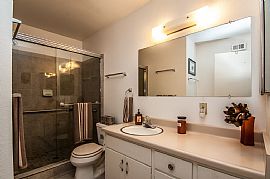 Beautiful, Large One Newly Remodeled Apt in Denver, CO