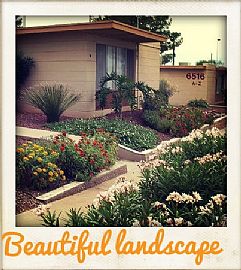 2 Bedroom, 1 Bath in Tucson, AZ (Photo 2 of 9)