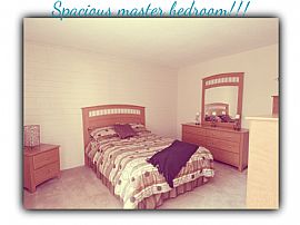 2 Bedroom, 1 Bath in Tucson, AZ (Photo 5 of 9)