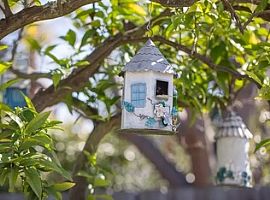 Lovely Home in Cuesta Park Neighborhood  in Mountain View, CA (Photo 3 of 10)
