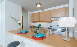 Fantastically Furnished 1bd/1.5ba ! in Honolulu, HI (Photo 4 of 12)