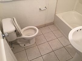 2 Beds 1 Bath 1 Sqft in Jacksonville, FL (Photo 11 of 12)