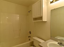 Neat 3 Bedroom Ranch Style Home in Columbia, SC (Photo 9 of 10)