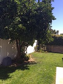 Fully Remodeled Home Features 3 Bdr 2 Car Garage with Washer/dr in Sacramento, CA (Photo 9 of 9)