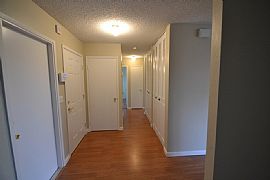 Specious 3 Bedrooms, 2 Bathrooms/ 2cars Garage in Sacramento, CA (Photo 4 of 8)