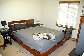 Spacious Home 3 Bed, 1.5 Bath, 2 Car Garage in Colorado Springs, CO (Photo 7 of 8)