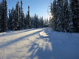 2389 Angie Way, North Pole, Ak 99705.. in North Pole, AK (Photo 3 of 10)