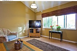 Beautiful 3 Bedroom, 2 Bathroom Tri-Level Town Home  in Castle Rock, CO (Photo 5 of 9)
