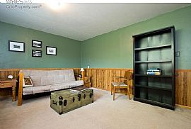 Beautiful 3 Bedroom, 2 Bathroom Tri-Level Town Home  in Castle Rock, CO (Photo 8 of 9)