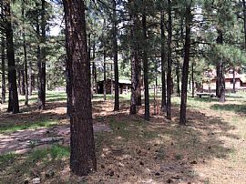 Simply Beautiful Timberline Hone in Flagstaff, AZ (Photo 7 of 8)