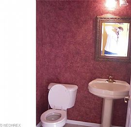 This 4 Bedroom, 2 Full and 2 Half Bath Colonial Has It All. in Twinsburg, OH (Photo 7 of 12)