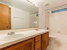 Cozy 3 Bedroom 2 Bath  in Gainesville, FL (Photo 5 of 6)