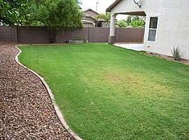 957 W Breckenridge Ave, Gilbert, Az 85233 in Gilbert, AZ (Photo 5 of 12)