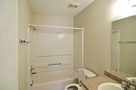 4 Bed/2 Bath in Albuquerque, NM (Photo 10 of 12)