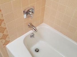 5505 E Skinner Dr, Cave Creek, Az 85331 in Cave Creek, AZ (Photo 9 of 12)