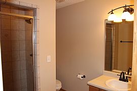Move-In Ready Single Family Home For Rent in Ankeny, IA (Photo 9 of 12)