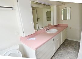 Newly Landscaped 3 Beds 3 Baths 2,905 Sqft in Rochester, MN (Photo 7 of 12)