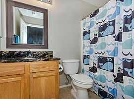 4939 E Roberta Dr, Cave Creek, Az 85331 in Cave Creek, AZ (Photo 5 of 11)