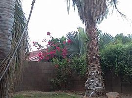 1909 E Smoke Tree Rd, Gilbert, Az 85296 in Gilbert, AZ (Photo 4 of 8)