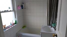 Bright Sun Filled Single Family Home in Newton. in Auburndale, MA (Photo 6 of 7)