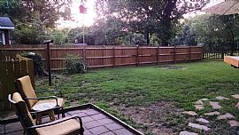 Beautiful Downtown Bentonville Home For Rent. 2bd, 1ba, All App in Bentonville, AR (Photo 4 of 8)