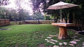 Beautiful Downtown Bentonville Home For Rent. 2bd, 1ba, All App in Bentonville, AR (Photo 8 of 8)